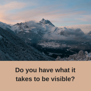 do-you-have-what-it-takes-to-be-visible